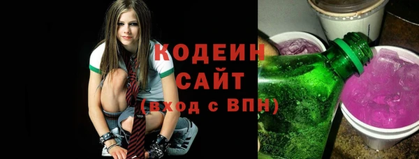 крисы Елабуга