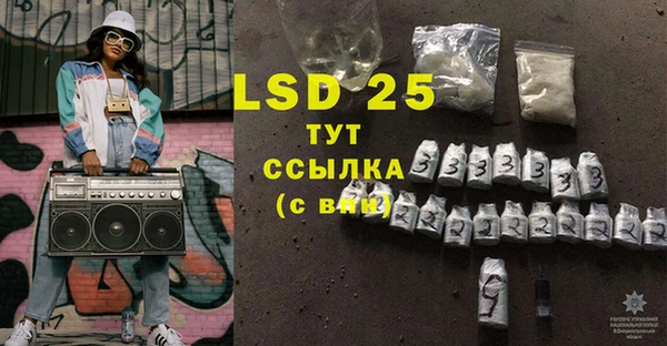 крисы Елабуга