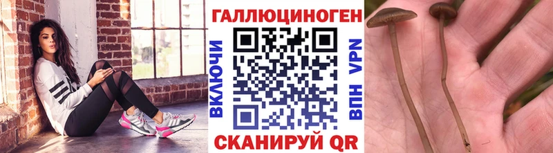 Псилоцибиновые грибы Psilocybine cubensis  Купить закладки  Поворино 
